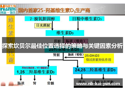 探索坎贝尔最佳位置选择的策略与关键因素分析