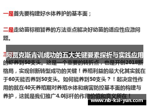 阿贾克斯青训成功的五大关键要素探析与实践应用